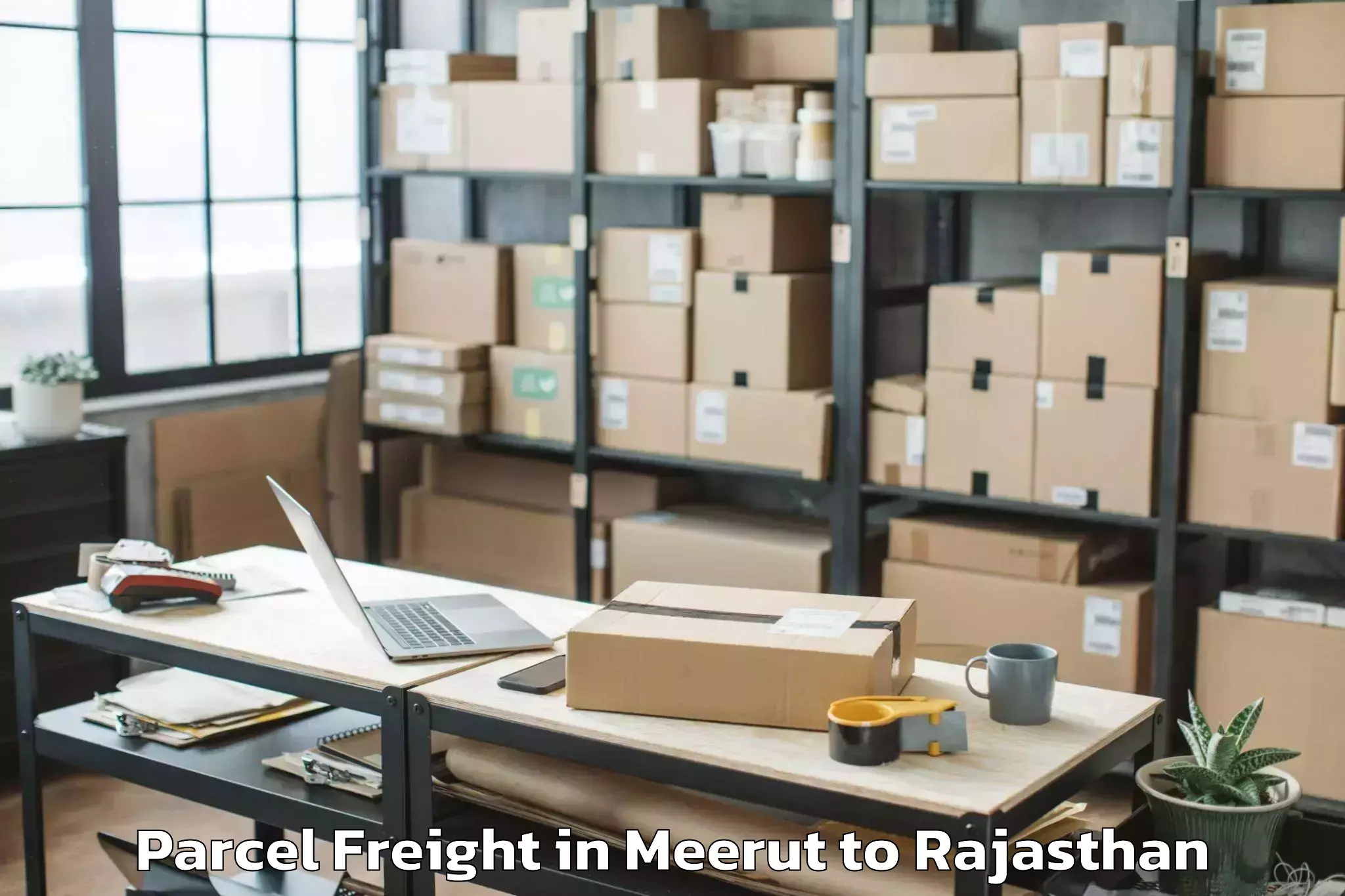 Comprehensive Meerut to Jaisalmer Parcel Freight